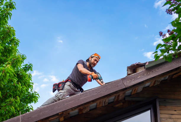 Best Roof Leak Repair  in Pevely, MO