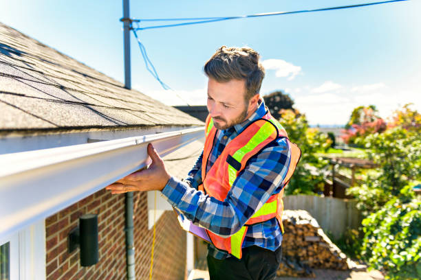 Best Skylight Installation and Repair  in Pevely, MO